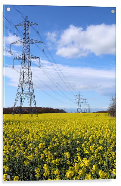 Pylons in Rapeseed Acrylic by John Atkins
