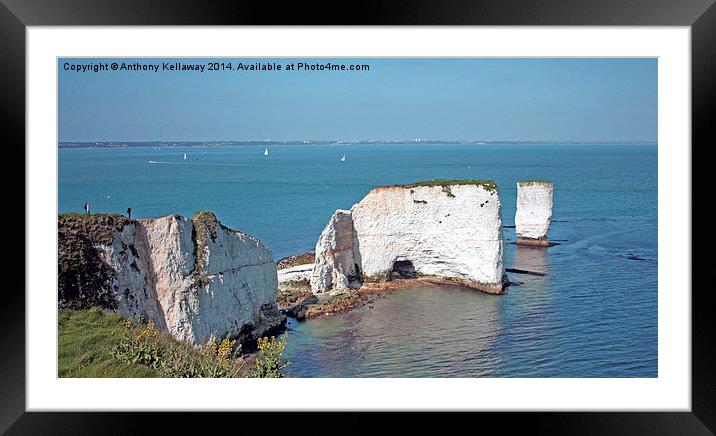OLD HARRY ROCKS Framed Mounted Print by Anthony Kellaway
