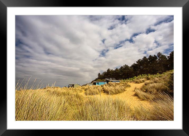 Hunstanton beach huts through the reeds Framed Mounted Print by Mark Bunning