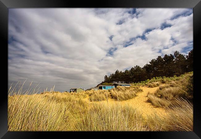 Hunstanton beach huts through the reeds Framed Print by Mark Bunning