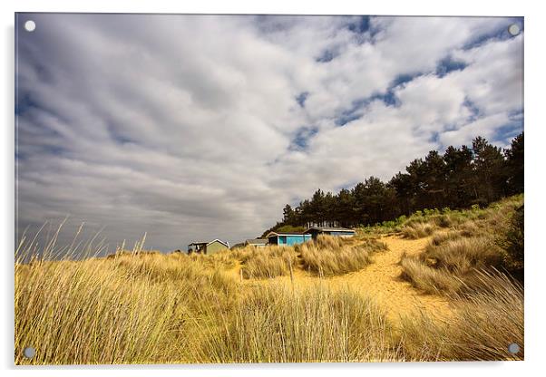 Hunstanton beach huts through the reeds Acrylic by Mark Bunning