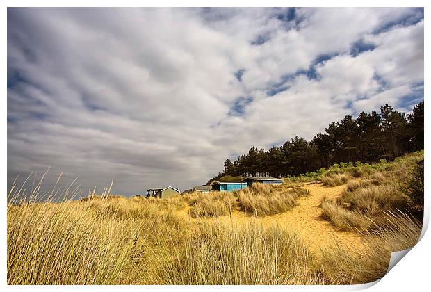 Hunstanton beach huts through the reeds Print by Mark Bunning