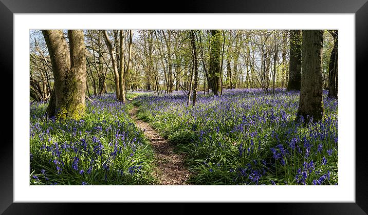 Spithandle Blue Framed Mounted Print by Malcolm McHugh