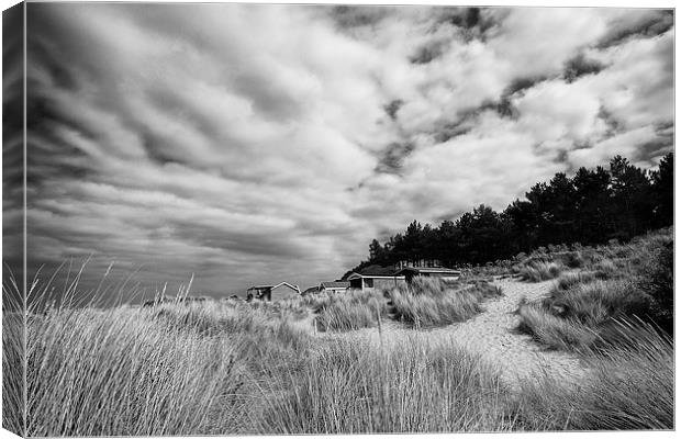 Hunstanton beach huts through the reeds in Black a Canvas Print by Mark Bunning