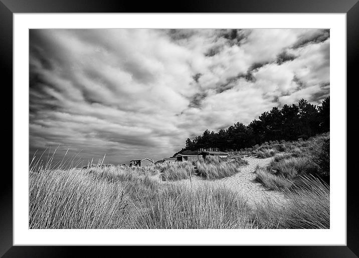 Hunstanton beach huts through the reeds in Black a Framed Mounted Print by Mark Bunning