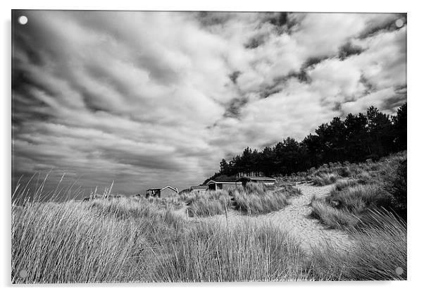 Hunstanton beach huts through the reeds in Black a Acrylic by Mark Bunning