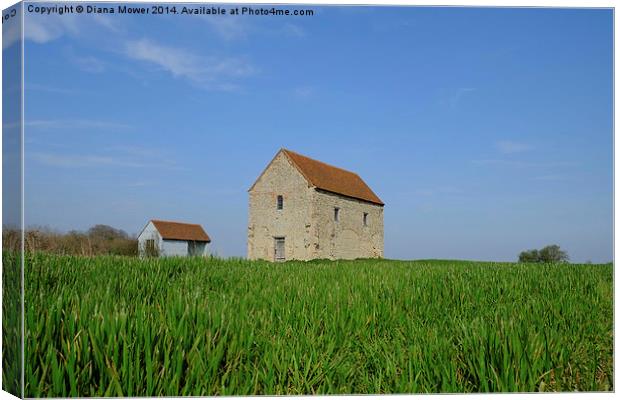 St Peter on the Wall Bradwell Canvas Print by Diana Mower