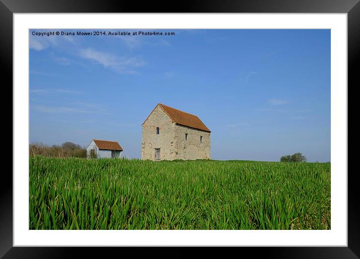 St Peter on the Wall Bradwell Framed Mounted Print by Diana Mower