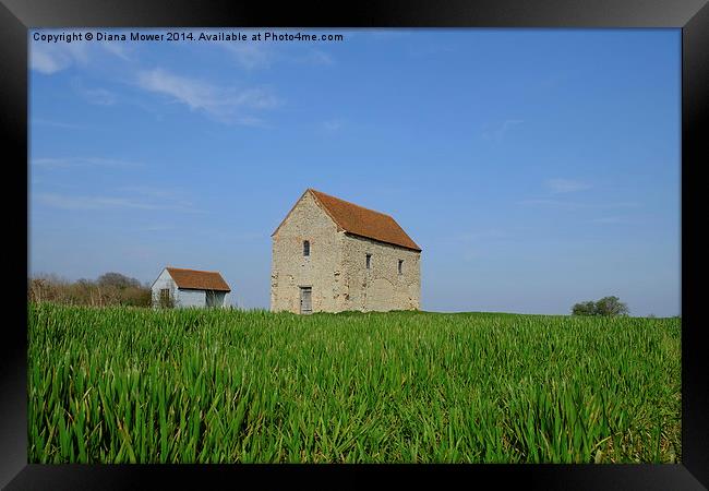 St Peter on the Wall Bradwell Framed Print by Diana Mower