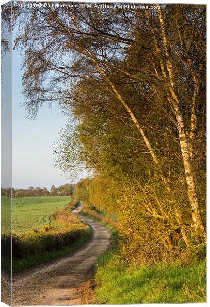 Bridleway Canvas Print by Phil Wareham