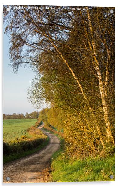 Bridleway Acrylic by Phil Wareham