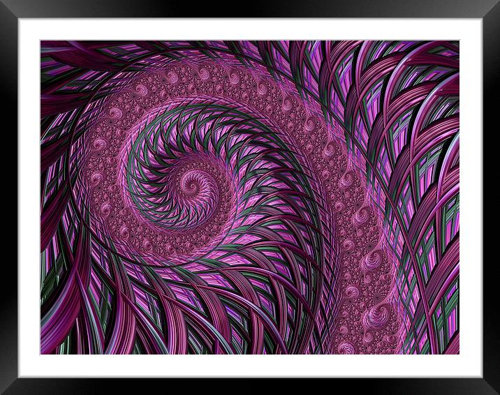 Fractal art maroon spirals Framed Mounted Print by Steve Hughes