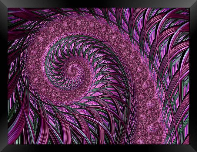 Fractal art maroon spirals Framed Print by Steve Hughes