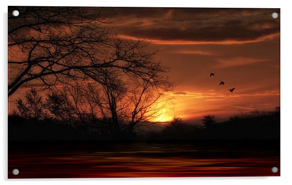 APRIL SUNSET Acrylic by Tom York