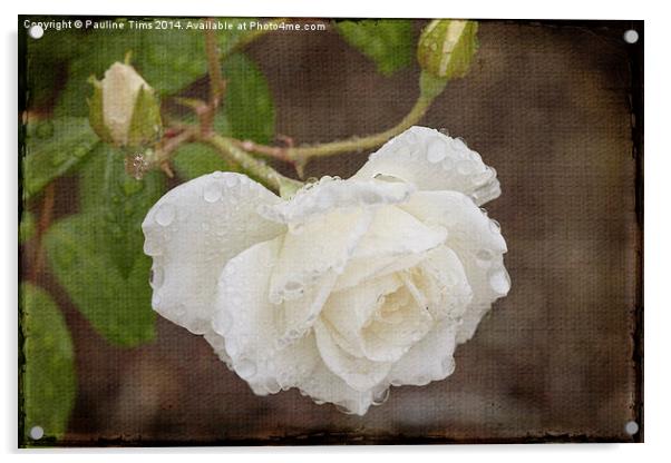 Vintage Rose Acrylic by Pauline Tims