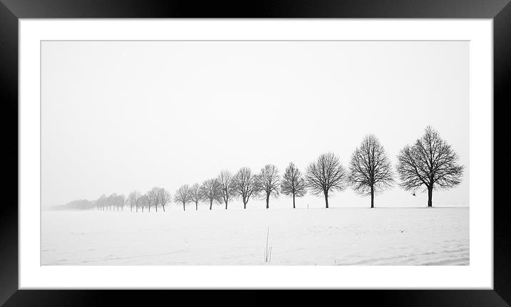 Minimalist winter landscape with trees Framed Mounted Print by Matthias Hauser