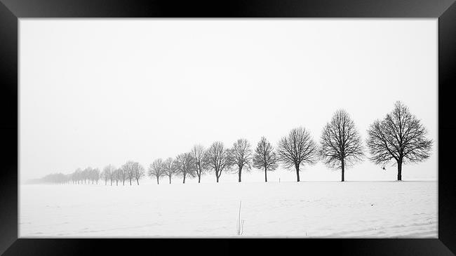 Minimalist winter landscape with trees Framed Print by Matthias Hauser