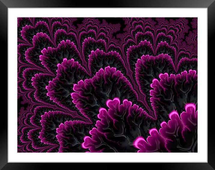 Dark pink and black abstract Framed Mounted Print by Matthias Hauser