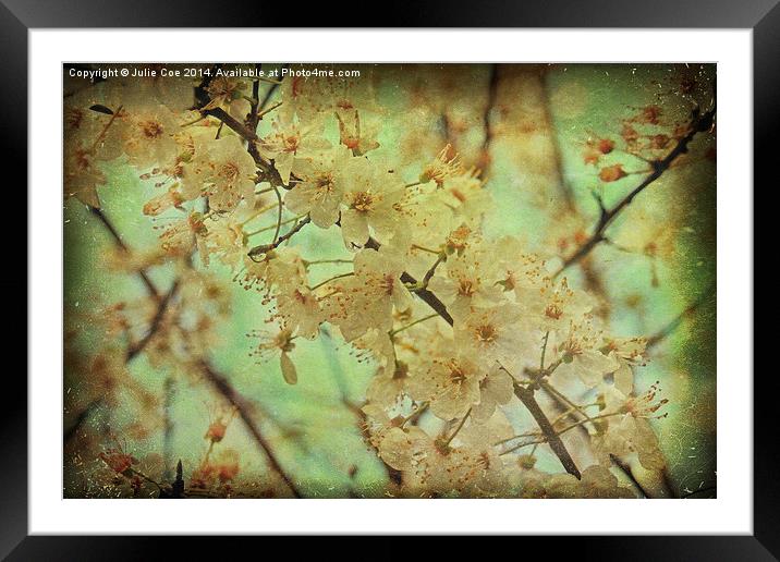 Springtime Blossom 2 Framed Mounted Print by Julie Coe