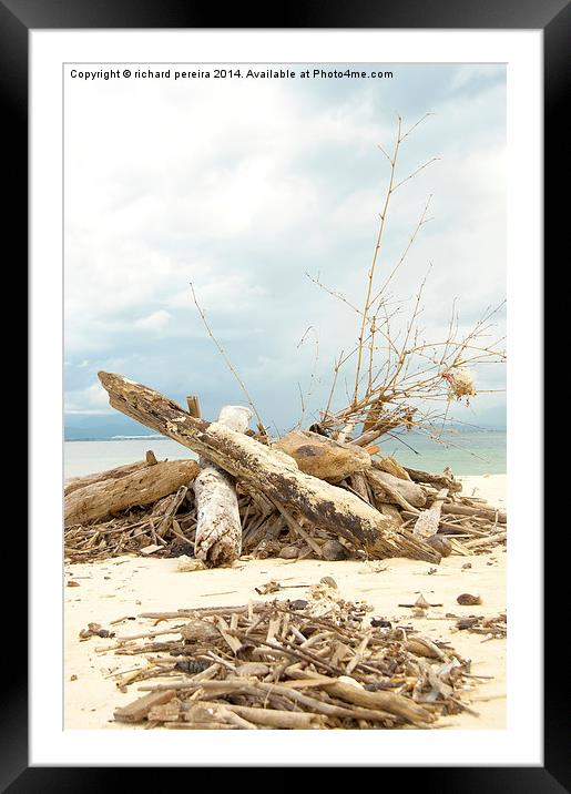 Island Driftwood Framed Mounted Print by richard pereira