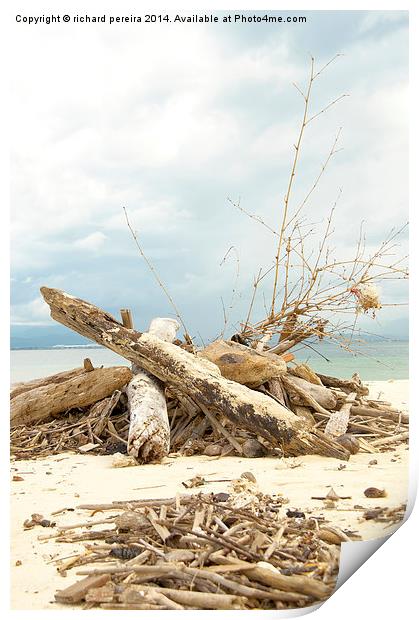 Island Driftwood Print by richard pereira