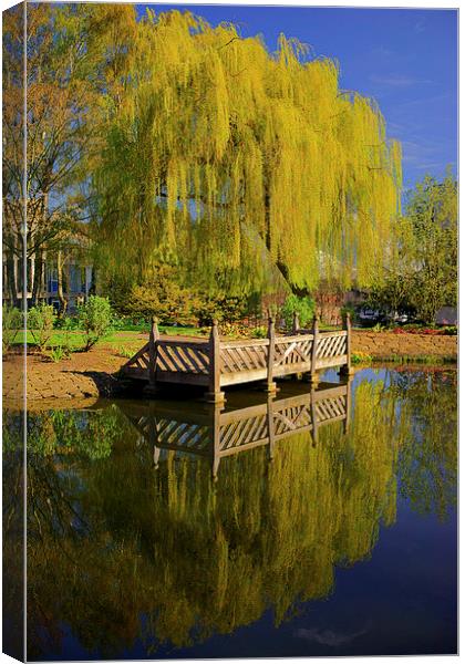 Weston Park Pond, Spring Reflections Canvas Print by Darren Galpin