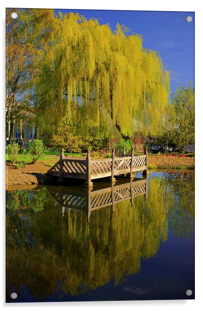 Weston Park Pond, Spring Reflections Acrylic by Darren Galpin