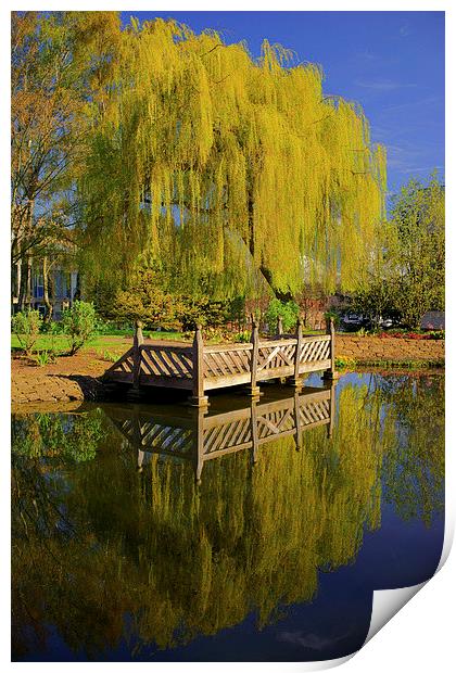 Weston Park Pond, Spring Reflections Print by Darren Galpin