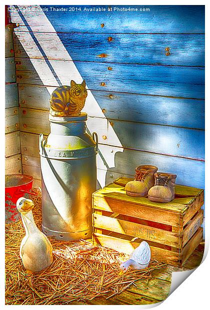 Cat and the Churn 2 Print by Chris Thaxter