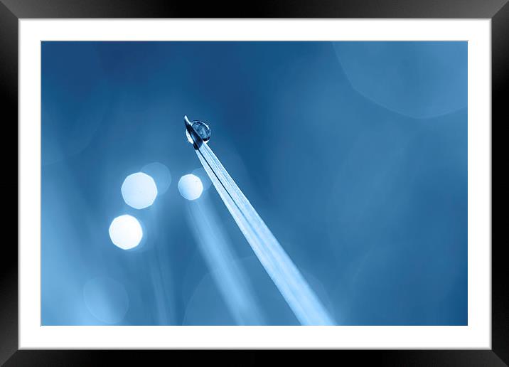 Dewdrop on Blade of Grass with Sparkle in Blue Framed Mounted Print by Natalie Kinnear