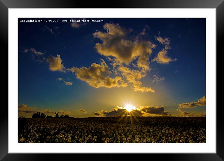 Spring field Framed Mounted Print by Ian Purdy