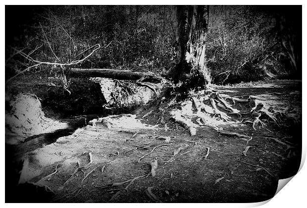 Creeping Roots Print by carol hynes