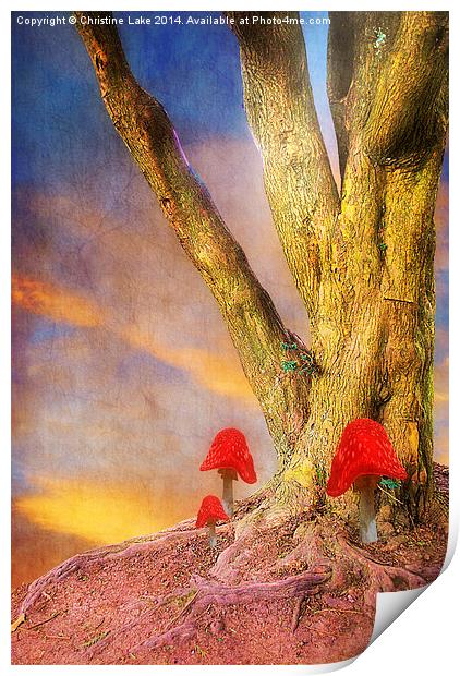 A Magical Mood Print by Christine Lake