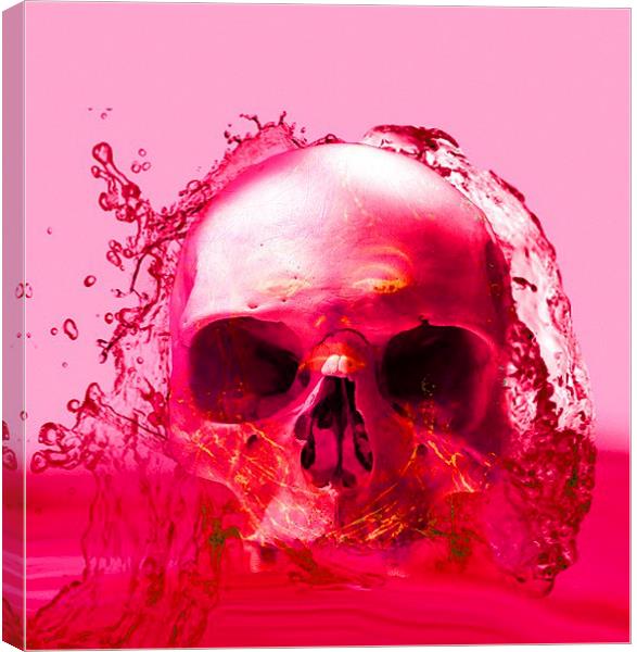 Red Skull in Water Canvas Print by Matthew Lacey