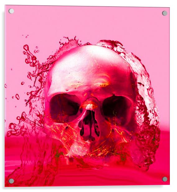 Red Skull in Water Acrylic by Matthew Lacey