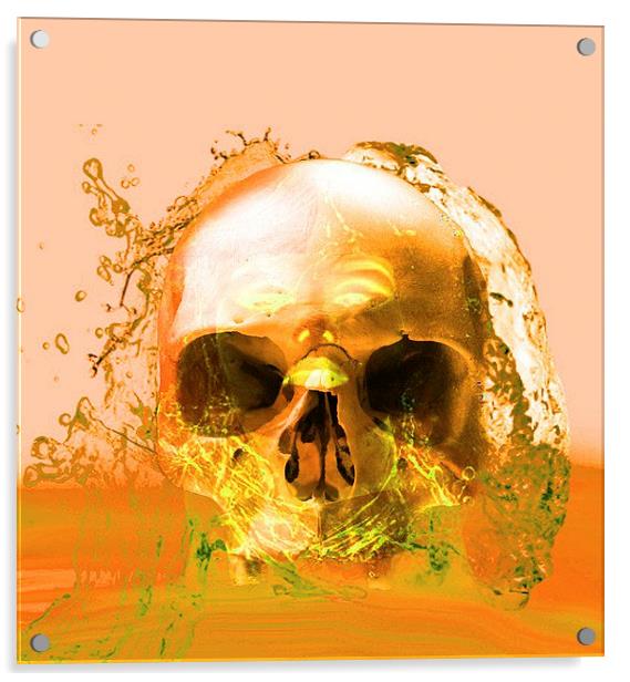 Golden Skull in Water Acrylic by Matthew Lacey