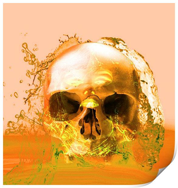 Golden Skull in Water Print by Matthew Lacey