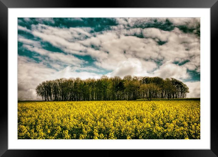 Sky, Trees, Flowers Framed Mounted Print by Purple OneTwoEight