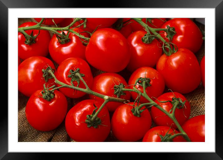 Juicy red tomatoes Framed Mounted Print by anna collins