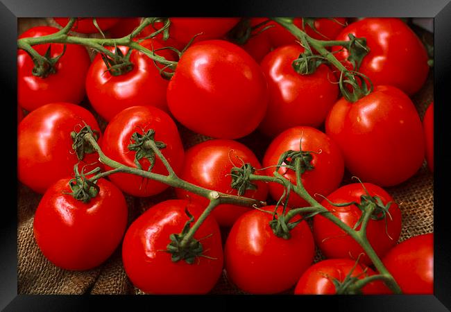 Juicy red tomatoes Framed Print by anna collins