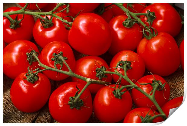 Juicy red tomatoes Print by anna collins