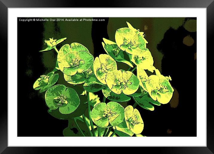 Vivid Greens Framed Mounted Print by Michelle Orai
