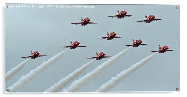 The Reds Acrylic by Peter Farrington