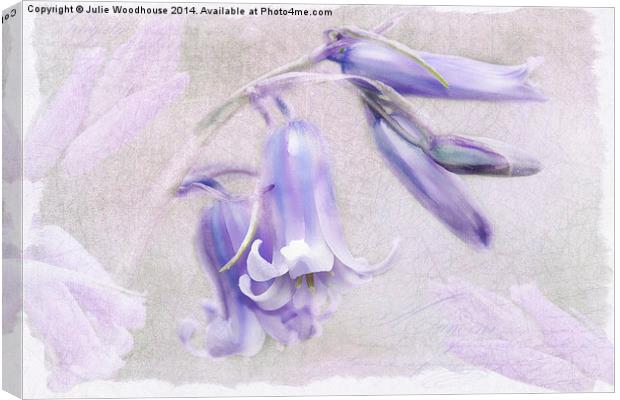 Bluebells Canvas Print by Julie Woodhouse