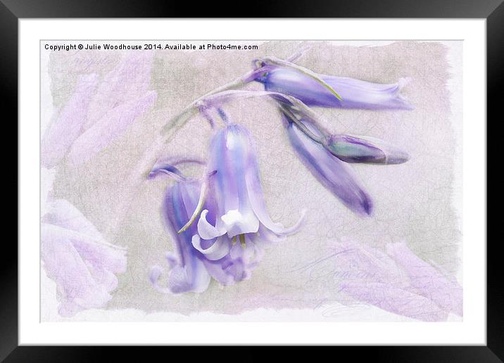 Bluebells Framed Mounted Print by Julie Woodhouse