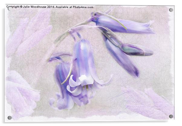 Bluebells Acrylic by Julie Woodhouse