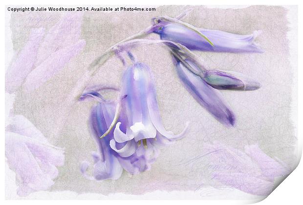 Bluebells Print by Julie Woodhouse