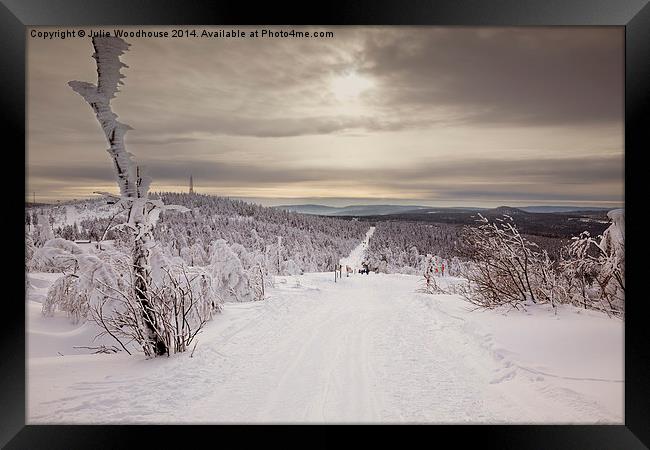 Fichtelberg, Oberwiesenthal Framed Print by Julie Woodhouse