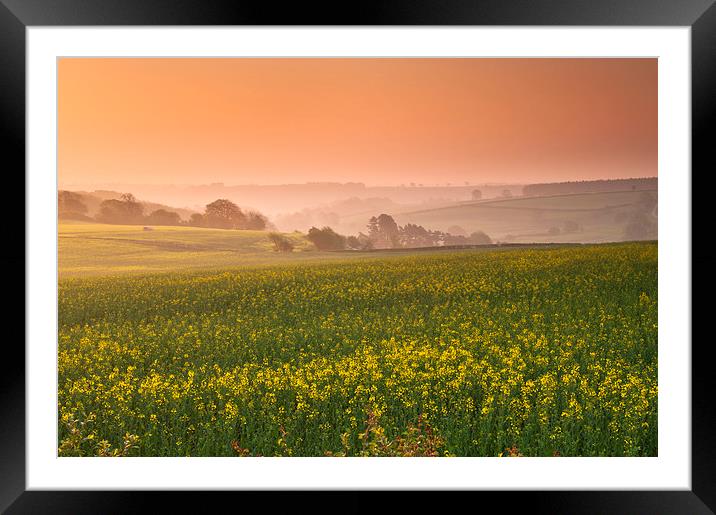 The Cotswold Hills Framed Mounted Print by Iksung Nah