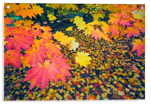 Autumn Leaves Acrylic by Iksung Nah